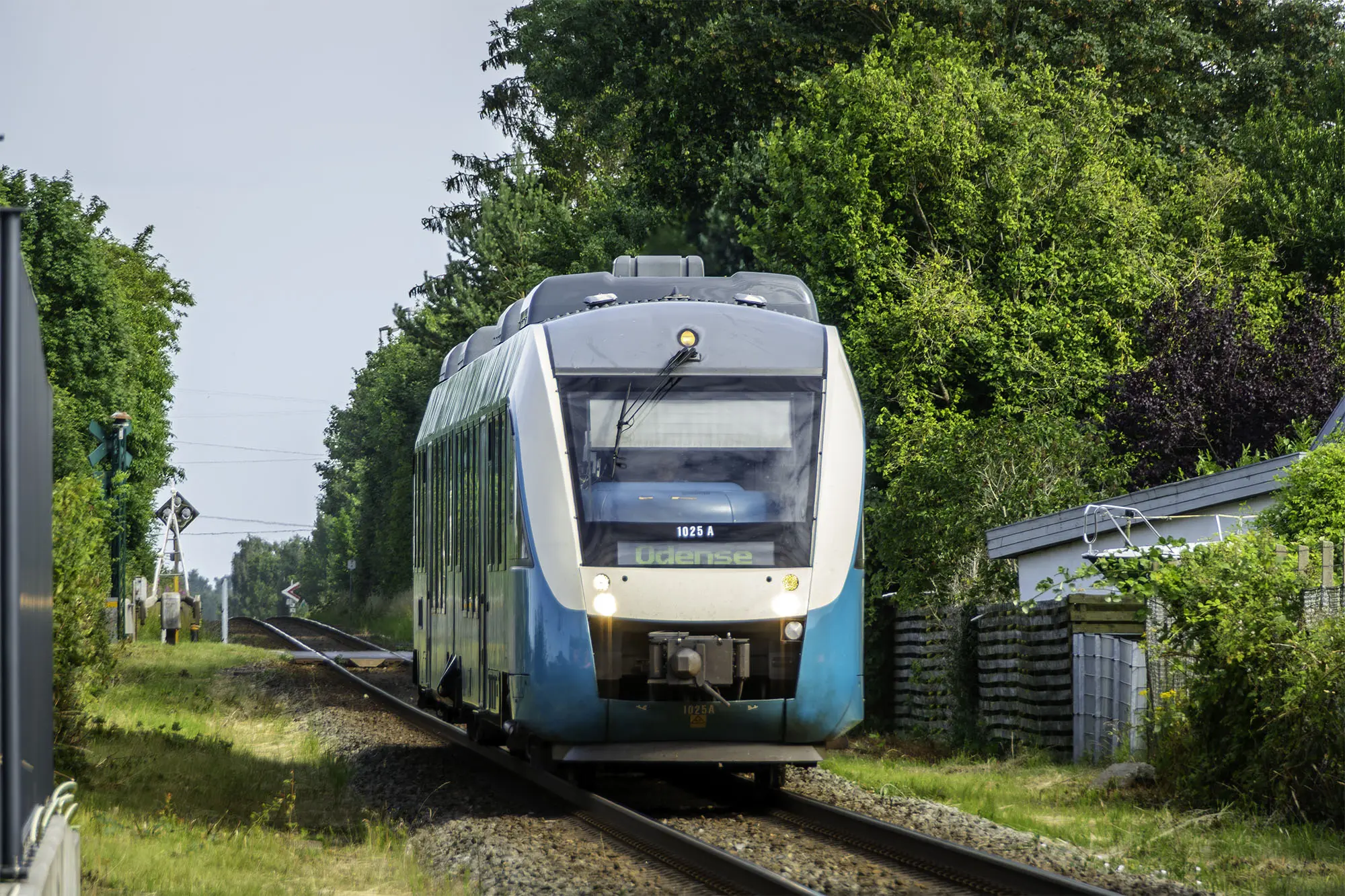GoCollective_Alstom-Coradia-Lint-1025_Matias-Lohmann-Quinones GoCollective Alstom Lint 41 på Svendborgbanen i det oprindelige Arriva-design © Matias Lohmann-Quiñones