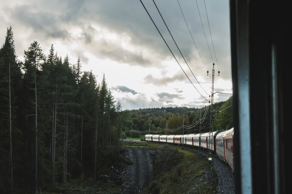 Snälltåget har en broget vognpark med vogne købt brugte fra forskellige operatører